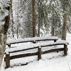 mit Schnee bedeckter Holzzaun vor Bäumen