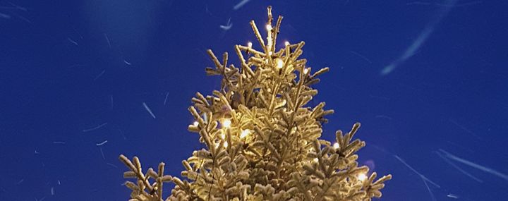 Abendstimmung bei Schneefall an einem festlich beleuchteten Weihnachtsbaum