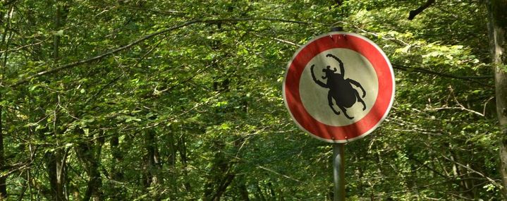 Verbotsschild mit einem symbolisierten Insekt im Wald