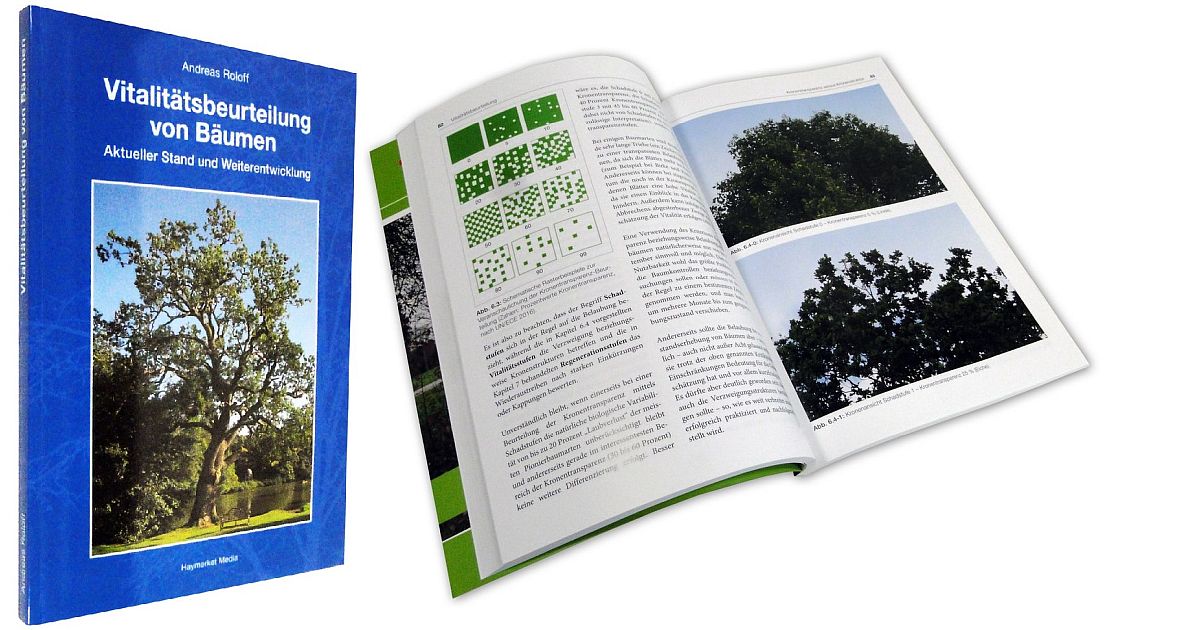 Vitalitätsbeurteilung von Bäumen