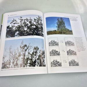 Vitalitätsstufen mit Bildbeispielen