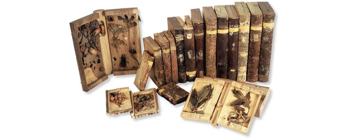 Mehrer Bücher aus Holz, teilweise geöffnet