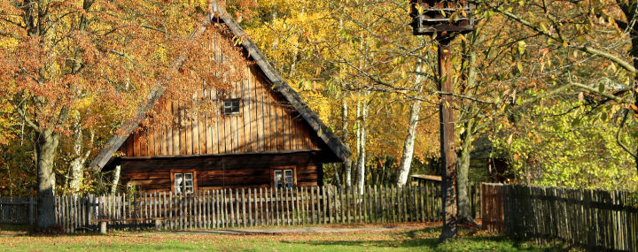 Baumpflege im Herbst: Einödhof mit Haus und Bäumen