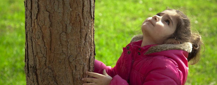 Ein Kind legt seinen Kopf in den Nacken um das Ende des Baumes zu sehen