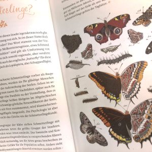 Buchseite mit Schmetterlingen: Wie kommt die Laus aufs Blatt