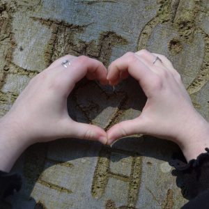 Bäume umarmen: Hände formen Herz an einem Stamm