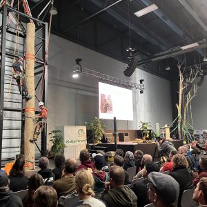 Praxisvorführungen am Stamm im Kletterforum