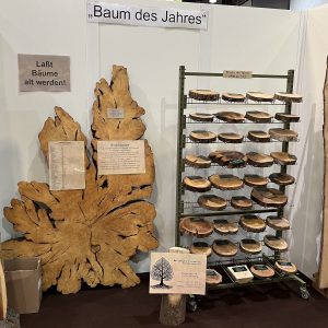Sonderausstellung Baum des Jahres
