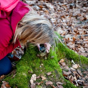 Waldbaden: Frau untersucht mit Lupe den Waldboden