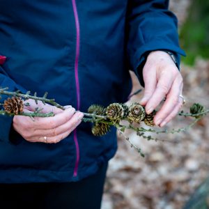 Waldbaden: Hände halten Zweig