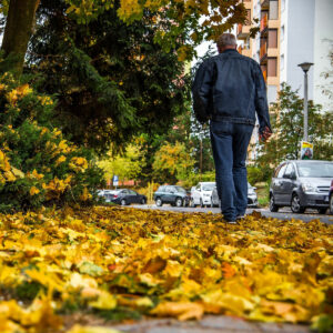 Gelbes Herbstlaub eines Ahorn liegt auf dem Boden in einer Wohnsiedlung. Ein Mann in Jeans und Jeansjacke läuft vorbei.