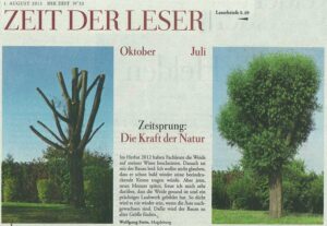 Leserbrief der Zeit zum Thema Baumkappung