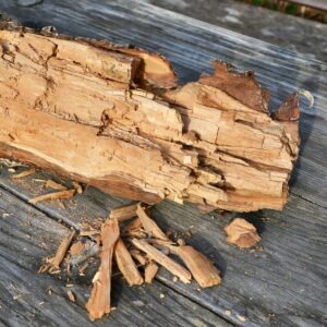 Holz mit Braunfäule und würfelartig brechendem Holz auf einem Holztisch