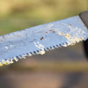 Sägeblatt mit feuchten Sägespännen