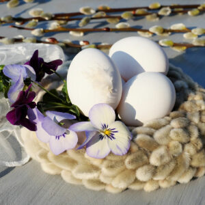 Salweide Osternest aus Weidenkätzchen