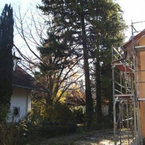 Zwischen zwei Häusern stehen am Zaun große Fichten
