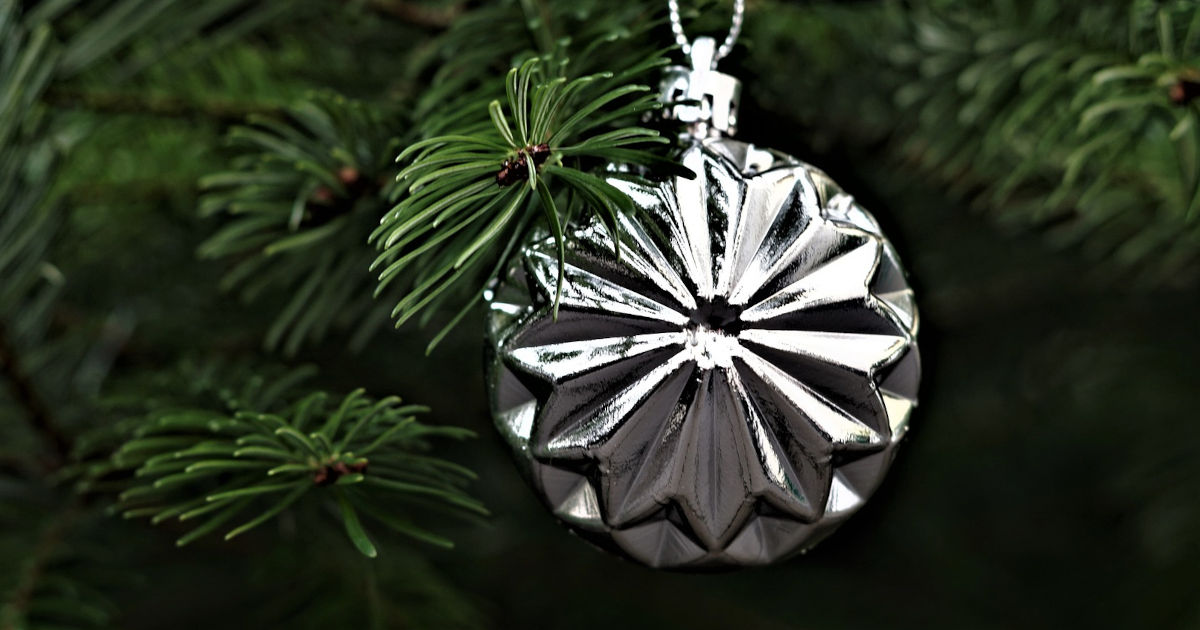 Silberne Weihnachtskugel inmitten von duftenden Fichtenzweigen.