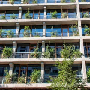 begrünte Hausfassade