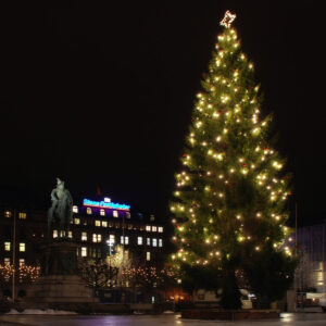 International: Weihnachtsbäume in anderen Ländern - Beleuchteter Weihnachtsbaum nachts in Malmö (Schweden)