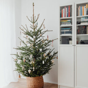 International: Weihnachtsbäume in anderen Ländern - Geschmückter Weihnachtsbaum im Topf