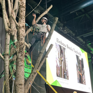 Kletterer mit Helm im Baum vor Leinwand