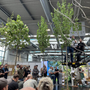 Mann auf Hebebühne beim Baumschnitt vor Publikum