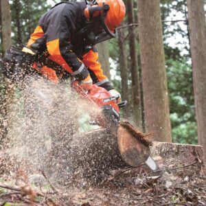 Mann mit Kettensäge am Baum