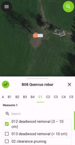 Screenshot Baumkataster Treesta